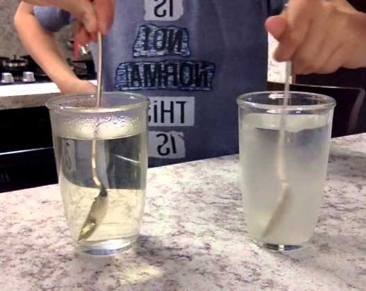 dissolving different types of sugar experiment